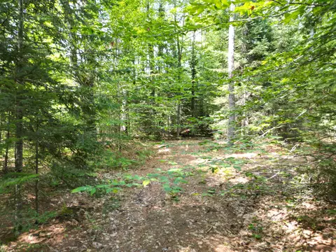lot5 River Rd, Maxfield, ME 04453 photo 6
