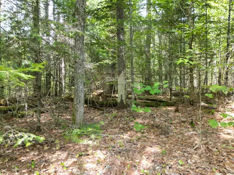 lot5 River Rd, Maxfield, ME 04453 photo 8