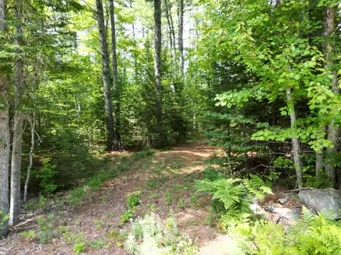 lot5 River Rd, Maxfield, ME 04453 photo 2