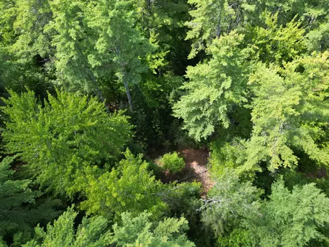 lot5 River Rd, Maxfield, ME 04453 photo 13
