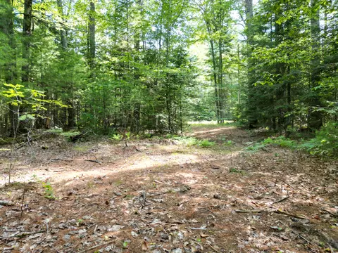 lot5 River Rd, Maxfield, ME 04453 photo 9
