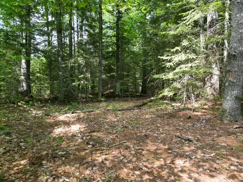 lot5 River Rd, Maxfield, ME 04453 photo 7