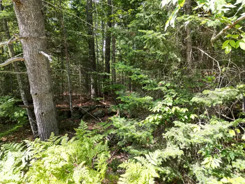lot5 River Rd, Maxfield, ME 04453 photo 5