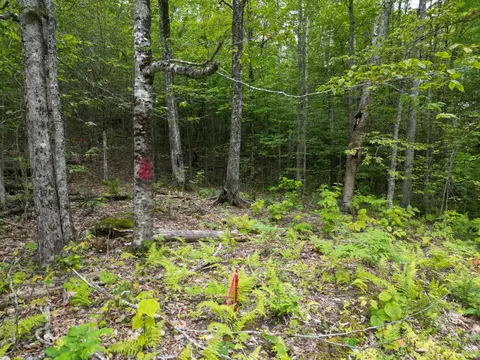 lot32 Bagley Mountain Rd, Lincoln, ME 04457