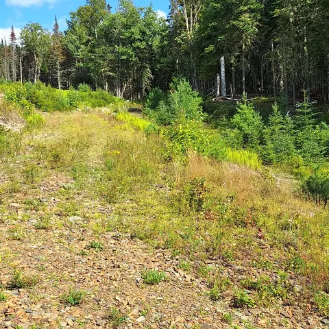lot Wheeler Rd #9, Rangeley, ME 04970 photo 8