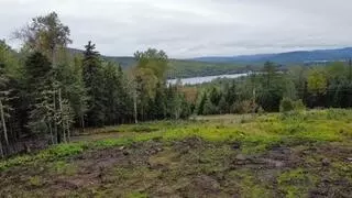 lot Wheeler Rd #9, Rangeley, ME 04970 photo 5