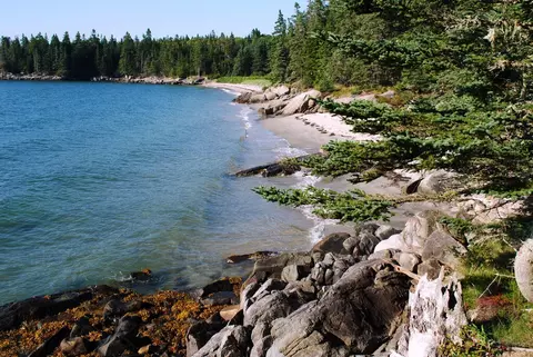 View/Area - 29 Reef Point Rd, Addison, ME 04606 photo 2 of 4