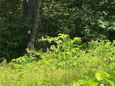 00 Trinity Rd, Dresden, ME 04342 photo 5