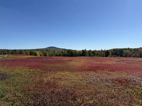 Map31lot29 Land-perkins, Blue Hill, ME 04614