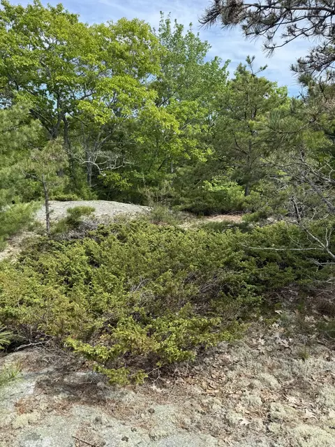 63 Sebasco Rd, Phippsburg, ME 04562 photo 15