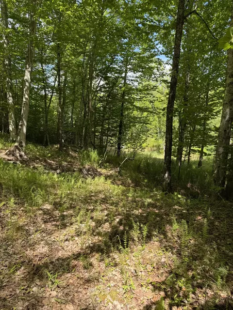 63 Sebasco Rd, Phippsburg, ME 04562 photo 5