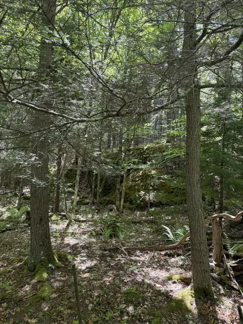 63 Sebasco Rd, Phippsburg, ME 04562 photo 3