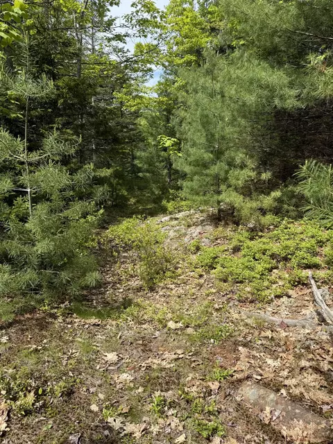63 Sebasco Rd, Phippsburg, ME 04562 photo 8