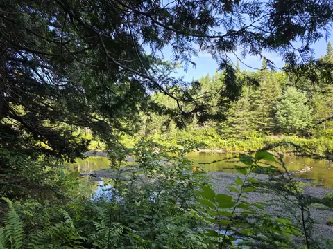 6 Juniper Ln, Abbot, ME 04406 photo 9