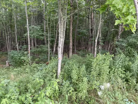 lot Apt Bemis Rd, Harmony, ME 04942 photo 4