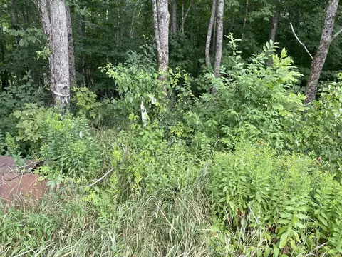 lot Apt Bemis Rd, Harmony, ME 04942 photo 5
