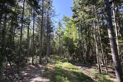 00 Periwinkle Ln, Brooklin, ME 04616 photo 13