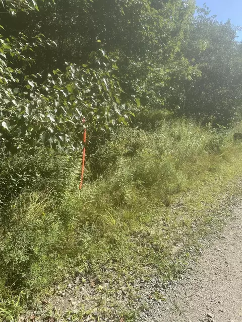 Map3 Lot2 Railroad Street, Harrington, ME 04643