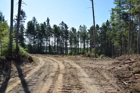 Ms03l17.3 Middle Carry Pond Road, Carrying Place Twp, ME 04961