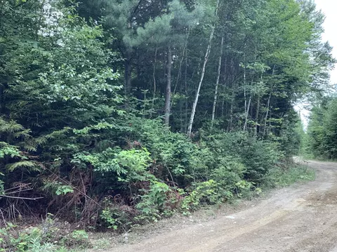 0 Fire Rd, Linneus, ME 04730 photo 6