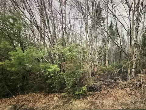 0 Fire Rd, Linneus, ME 04730 photo 11