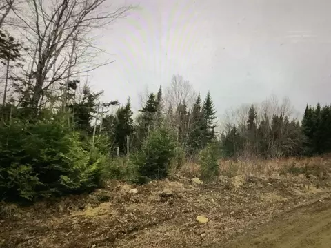 0 Fire Rd, Linneus, ME 04730 photo 10