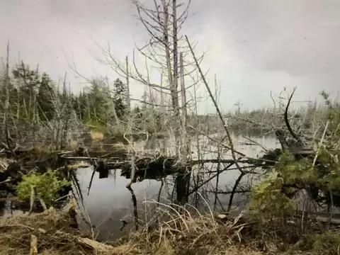 0 Fire Rd, Linneus, ME 04730 photo 12