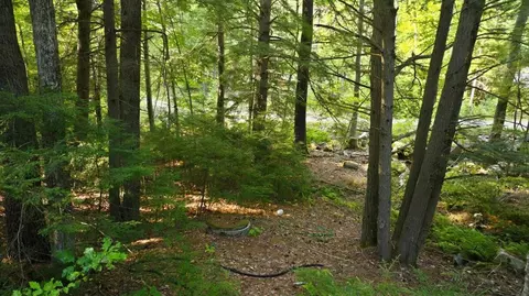 Exterior - 277 Blanchard Rd, Springvale, ME 04083 photo 21 of 22