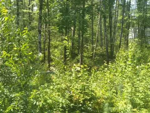 lot Apt 1 Harry Howes Rd, Sanford, ME 04073