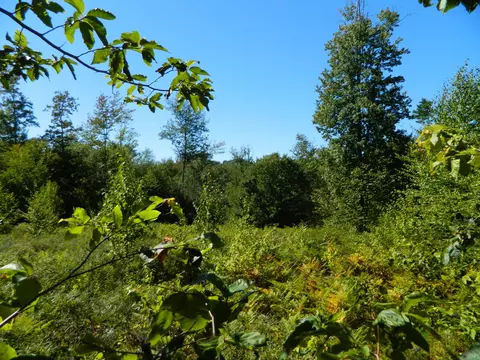 41 Ridley Road, Sanford, ME 04083 photo 6