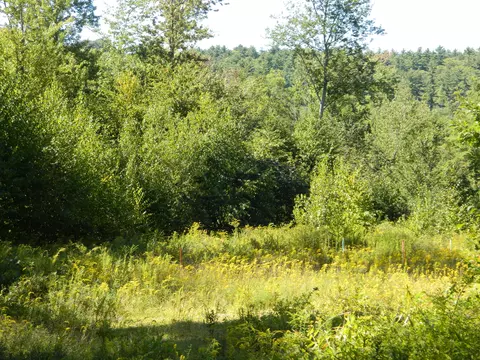 41 Ridley Road, Sanford, ME 04083 photo 5