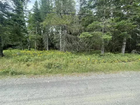 M34, Rangeley, ME 04970 photo 7