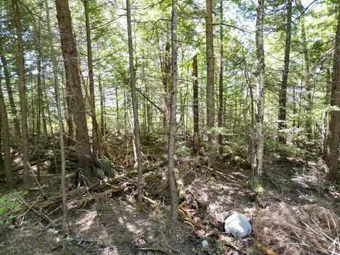 30 Merganser Ln, Lincoln, ME 04457 photo 13