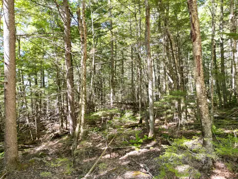30 Merganser Ln, Lincoln, ME 04457 photo 17