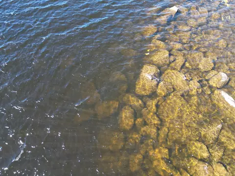 30 Merganser Ln, Lincoln, ME 04457 photo 3