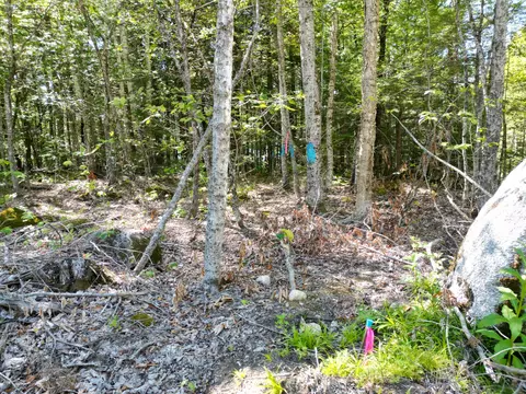30 Merganser Ln, Lincoln, ME 04457 photo 8
