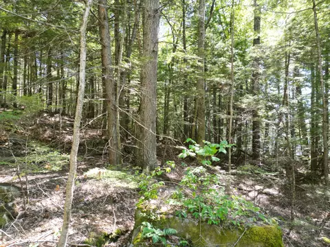 30 Merganser Ln, Lincoln, ME 04457 photo 16