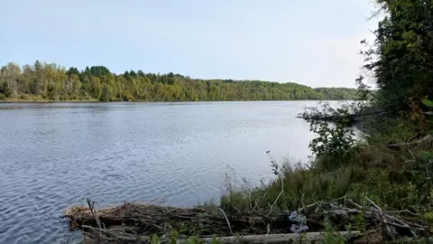 1780 Hamlin Rd, Hamlin, ME 04785 photo 11