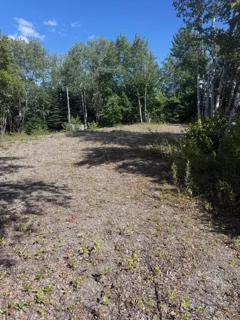 1780 Hamlin Rd, Hamlin, ME 04785 photo 3