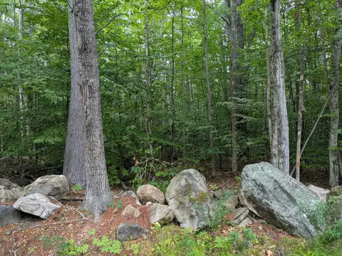 lot74 Ridgewood Ter, Limerick, ME 04048