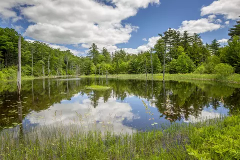 View/Area - 40 Patrick Mountain Ln, Washington, ME 04574 photo 2 of 3