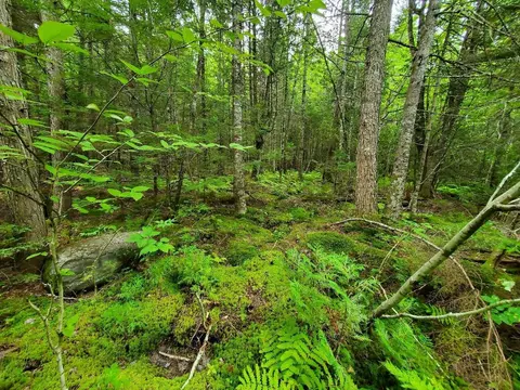 0 Howland Rd, Lagrange, ME 04453 photo 31