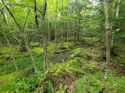 0 Howland Rd, Lagrange, ME 04453 photo 29