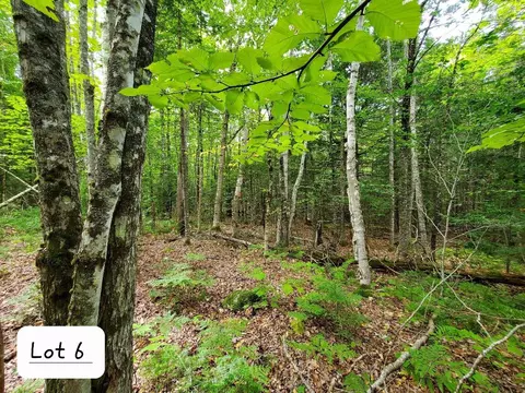 0 Howland Rd, Lagrange, ME 04453 photo 41
