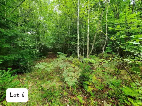0 Howland Rd, Lagrange, ME 04453 photo 24