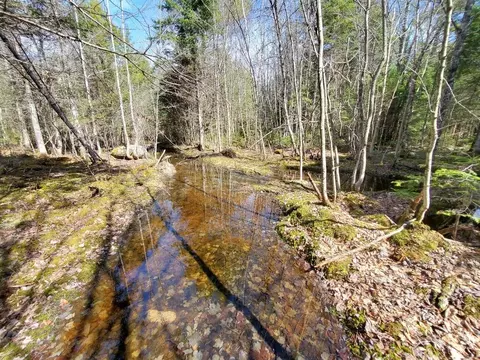 0 Howland Rd, Lagrange, ME 04453 photo 6