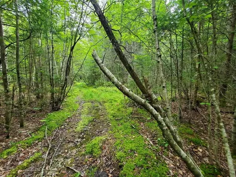 0 Howland Rd, Lagrange, ME 04453 photo 30