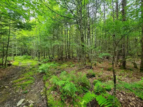 0 Howland Rd, Lagrange, ME 04453 photo 34