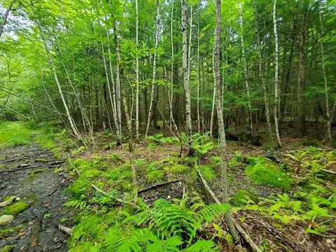 0 Howland Rd, Lagrange, ME 04453 photo 37