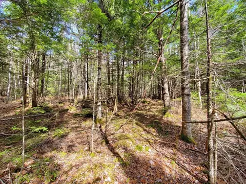 0 Howland Rd, Lagrange, ME 04453 photo 16